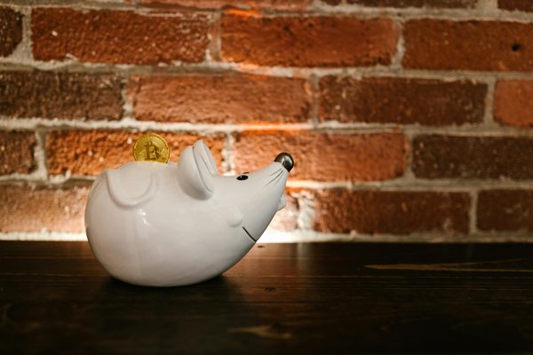 Essential mortgage strategies for uk freelancers: explore your home financing possibilities